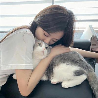 苦茶香