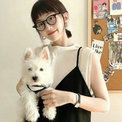 如果历史是一群喵第六季